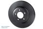brake disc RT 1242
